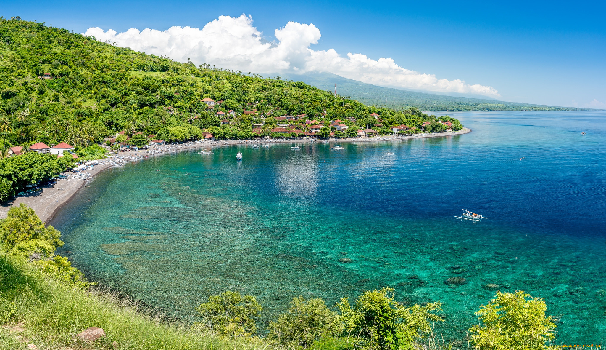 amed, , - , 